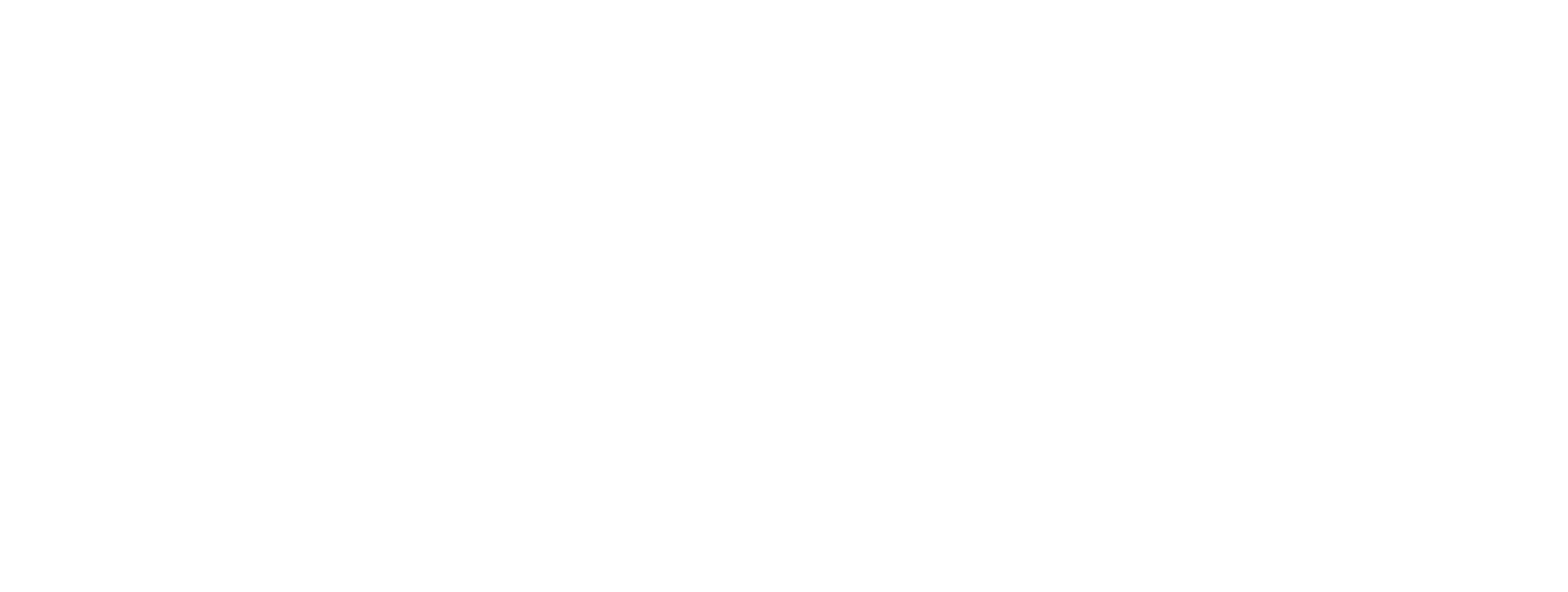 Blindo Logo